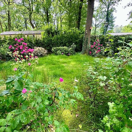 Vakantie Veluwe فاغينينغين المظهر الخارجي الصورة