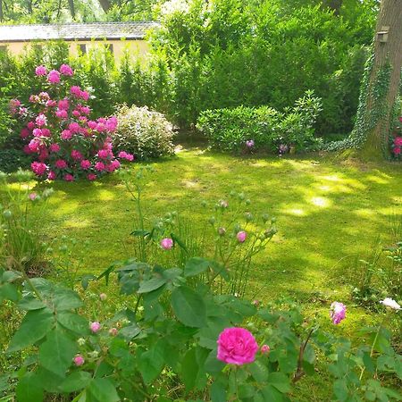 Vakantie Veluwe فاغينينغين المظهر الخارجي الصورة