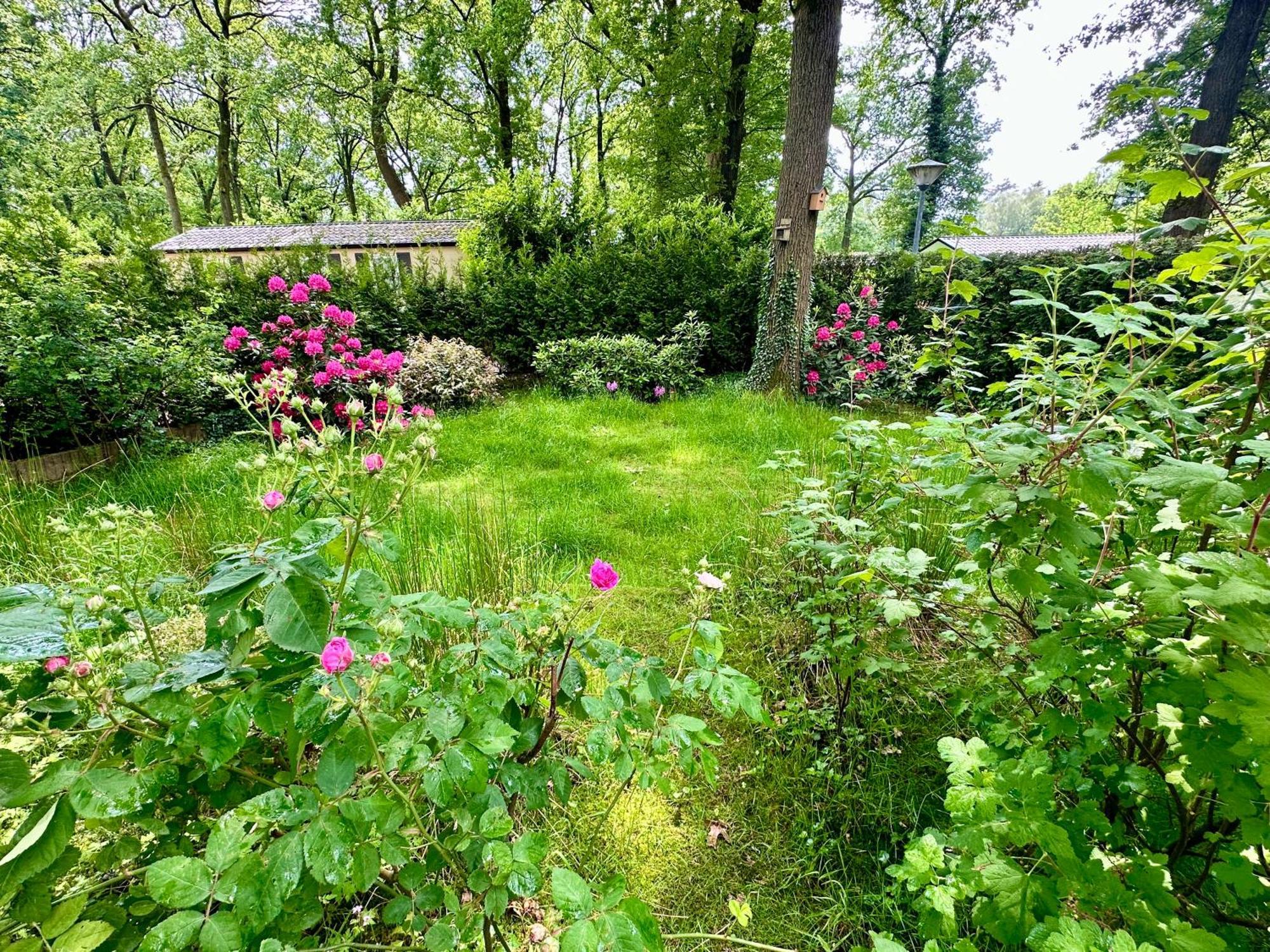 Vakantie Veluwe فاغينينغين المظهر الخارجي الصورة