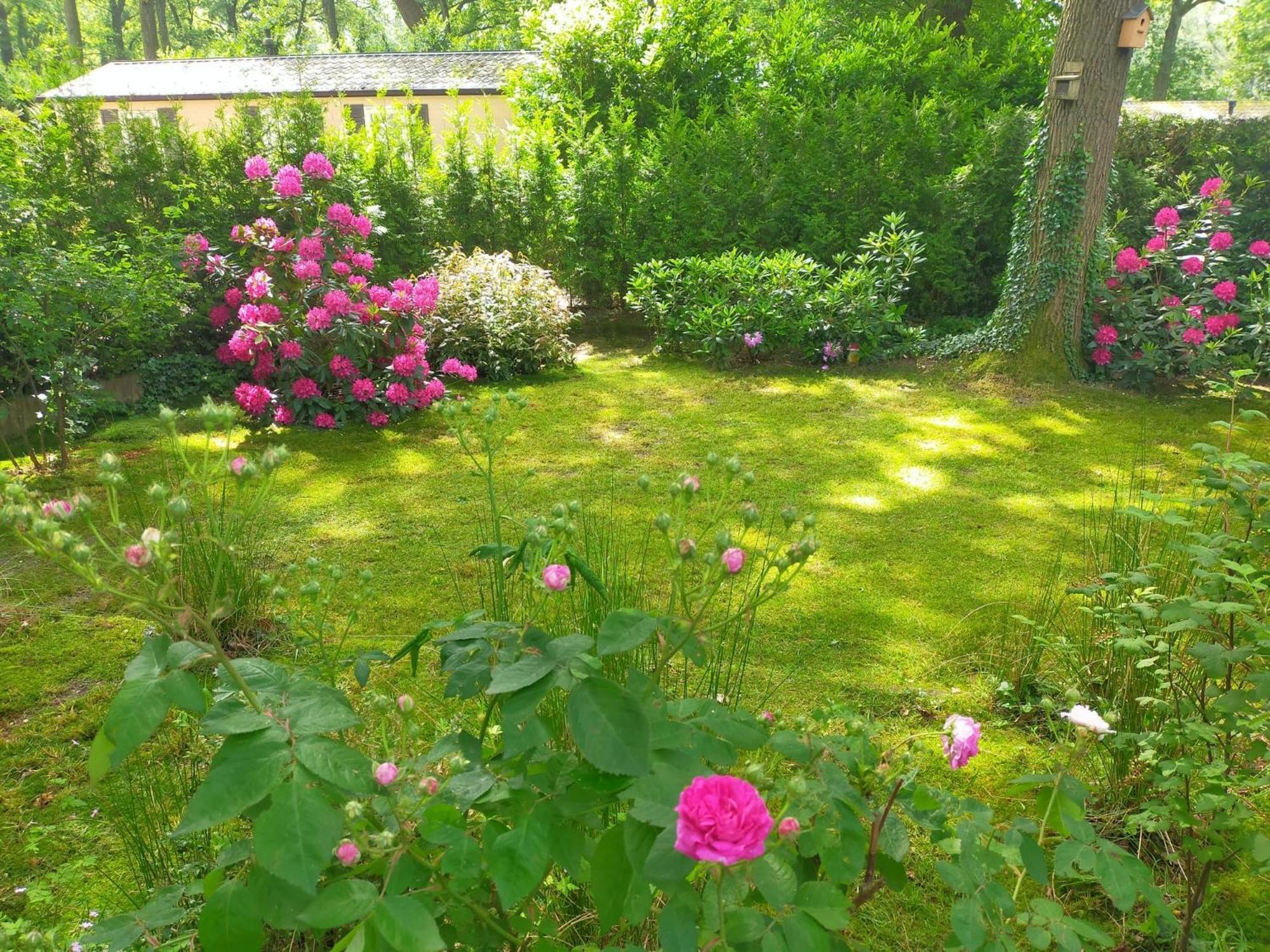 Vakantie Veluwe فاغينينغين المظهر الخارجي الصورة