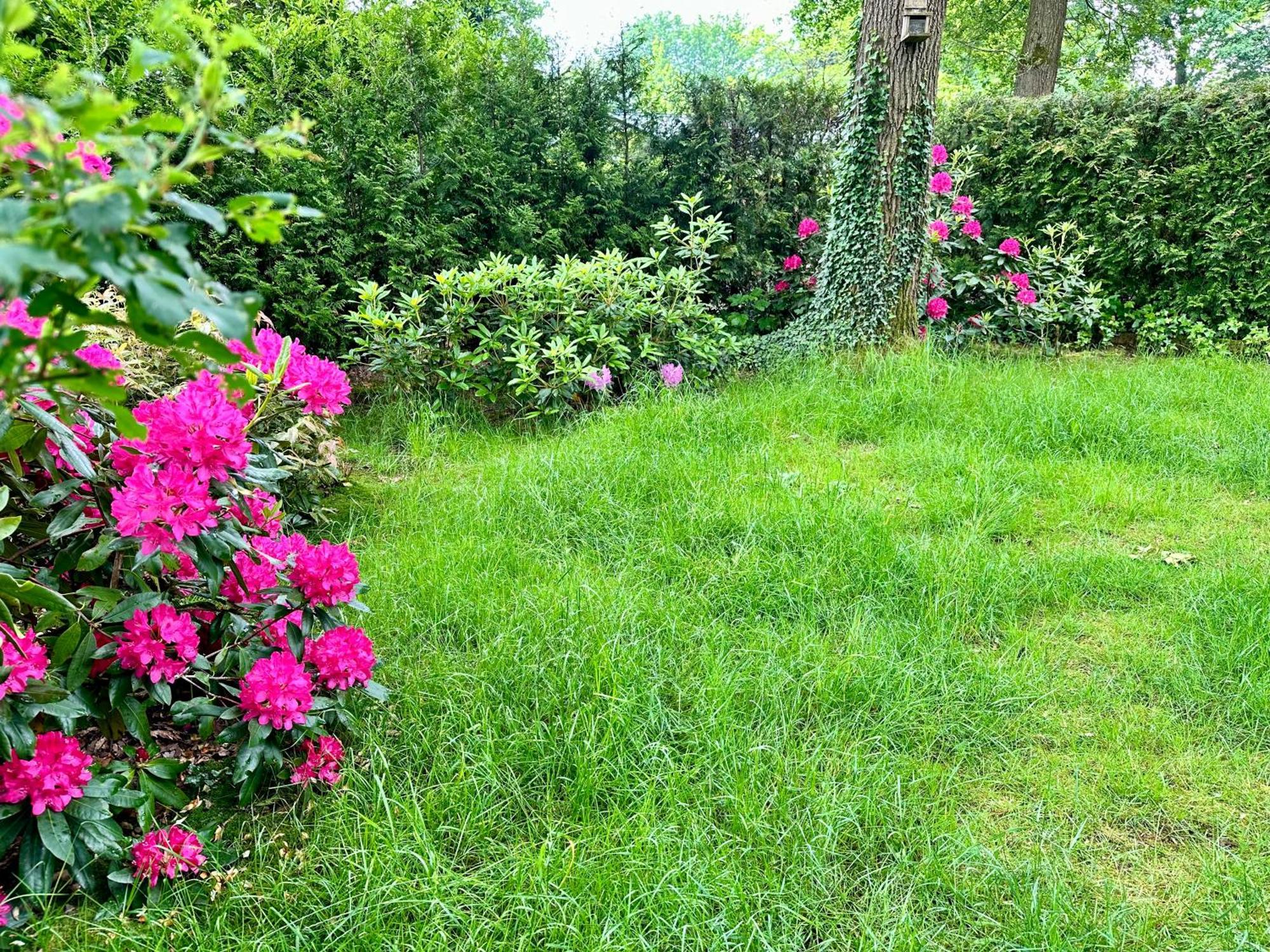Vakantie Veluwe فاغينينغين المظهر الخارجي الصورة